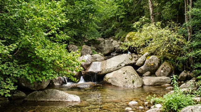 The Madriu-Perafita-Claror Valley