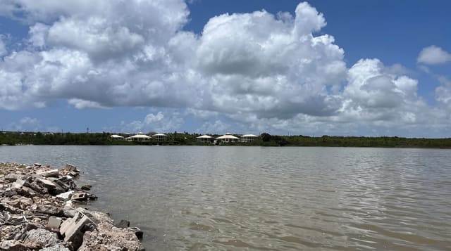Little Bay