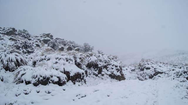 Cerro Champaquí