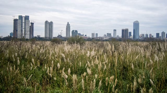 Costanera Sur Ecological Reserve
