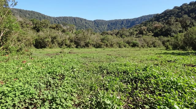 El Rey National Park