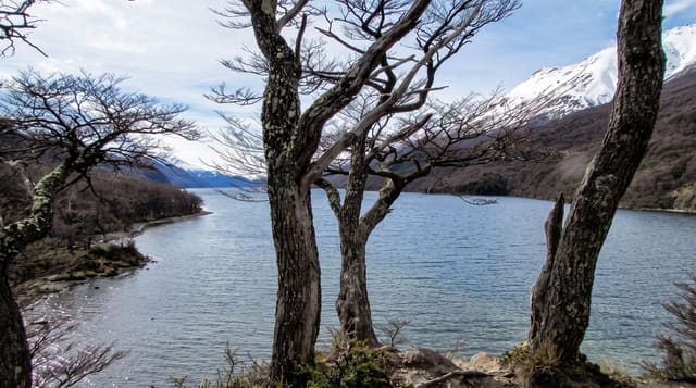 Lago del Desierto