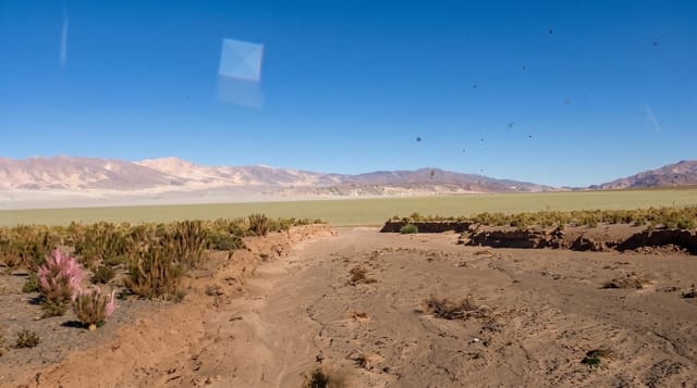 Laguna Blanca Reserve