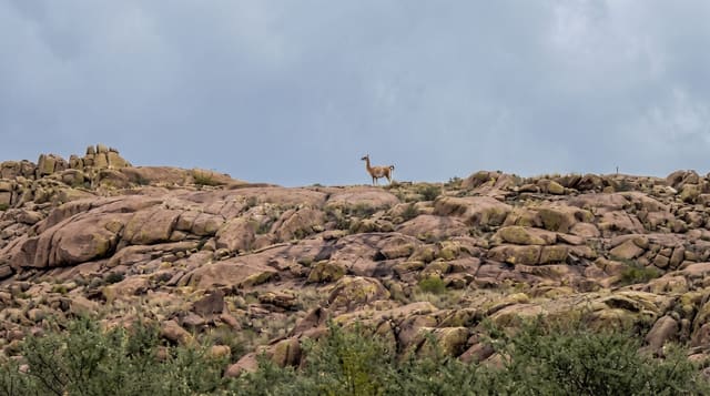 Lihué Calel National Park