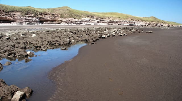 Monte Hermoso