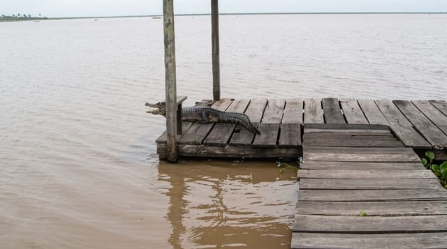 Río Pilcomayo National Park