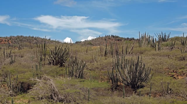 Arikok National Park