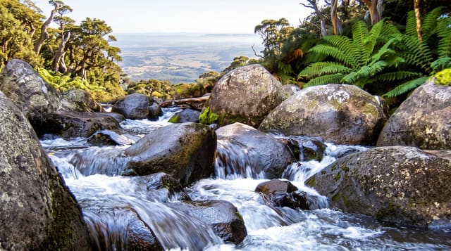 Barrington Tops National Park