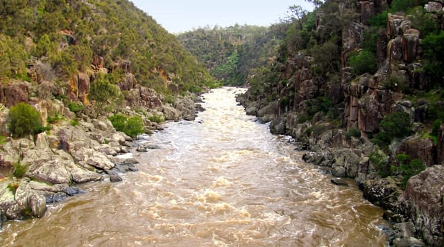 Cataract Gorge