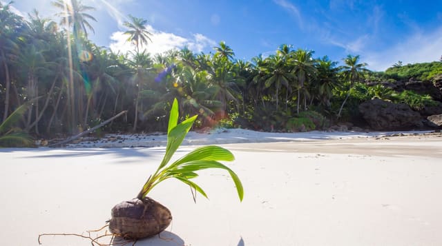 Christmas Island
