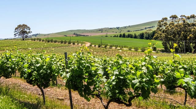 Clare Valley