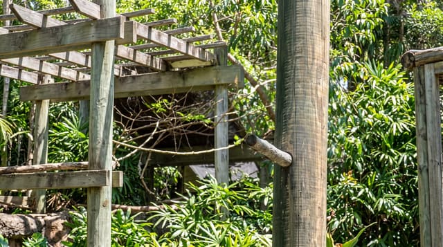 Currumbin Wildlife Sanctuary