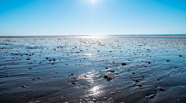 Eighty Mile Beach
