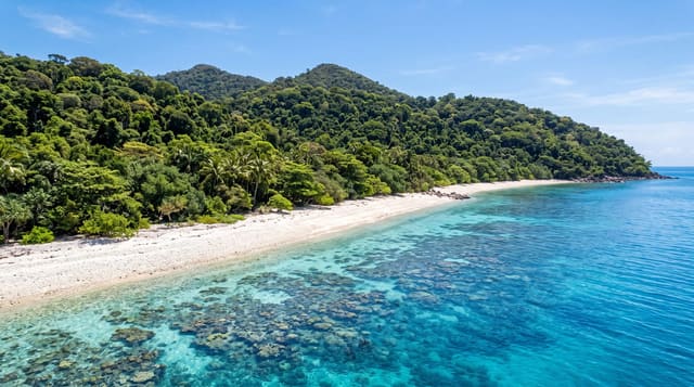 Fitzroy Island