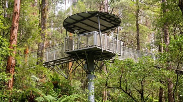 Great Otway National Park