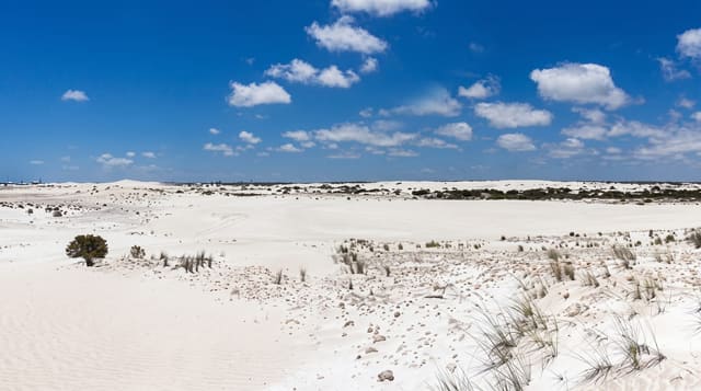 Lancelin Sand Dunes