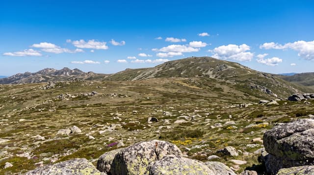 Mount Kosciuszko