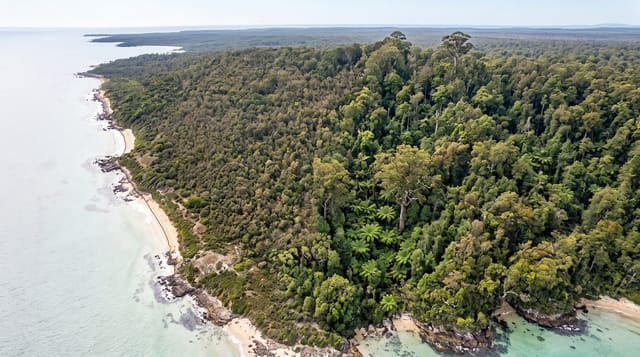 takayna / Tarkine