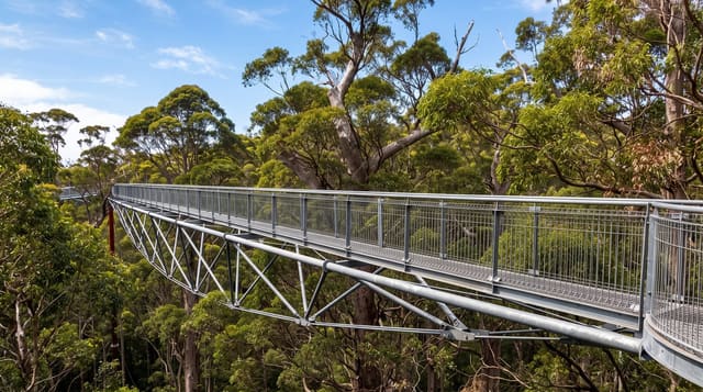 Valley of the Giants Tree Top Walk