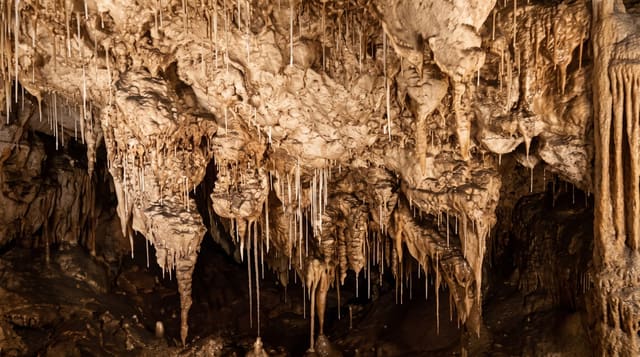 Yarrangobilly Caves