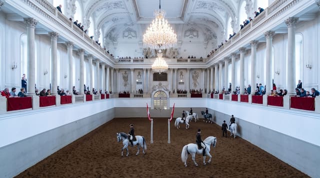 The Spanish Riding School