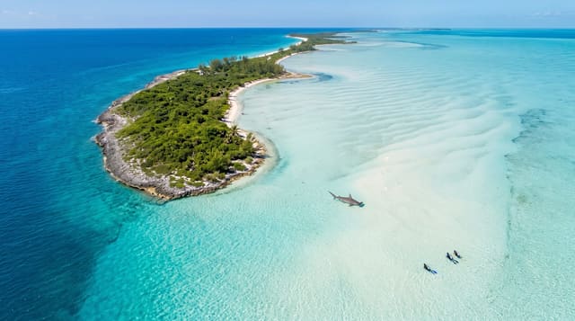 Bimini