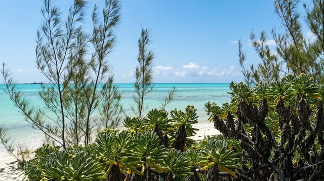 Peterson Cay