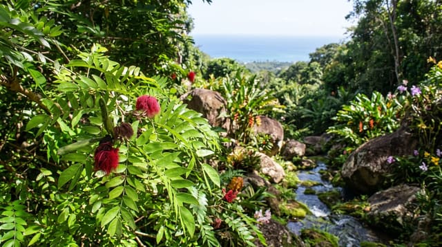 Andromeda Botanic Gardens