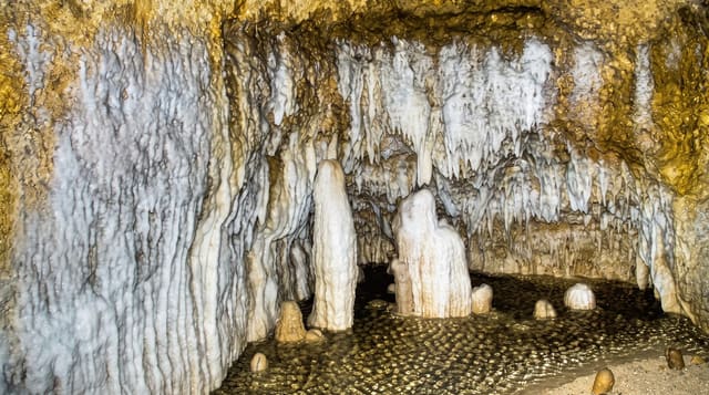 Harrison's Cave