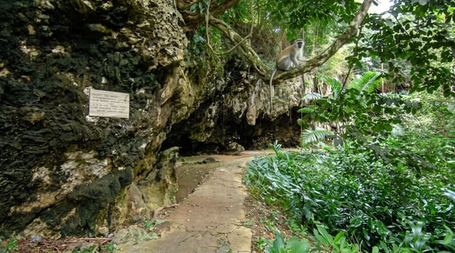 Welchman Hall Gully