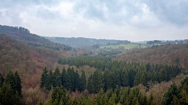 The Ardennes