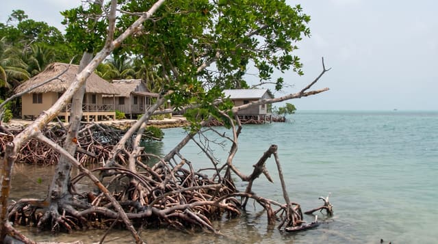 Ambergris Caye