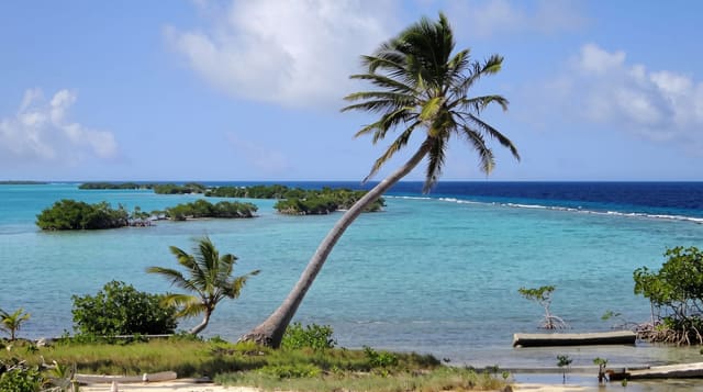 Turneffe Atoll
