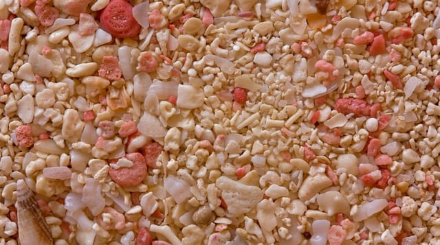 The Pink-Sand Beaches
