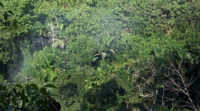 Madidi National Park