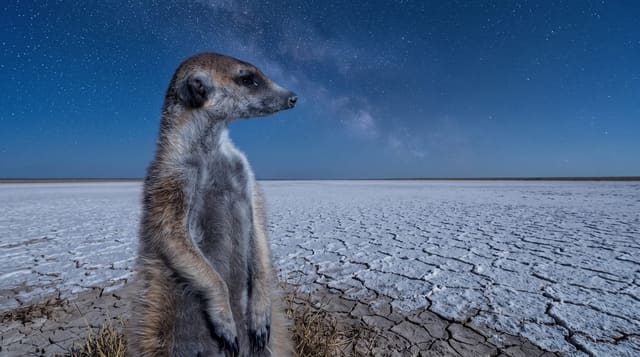 The Makgadikgadi Pans