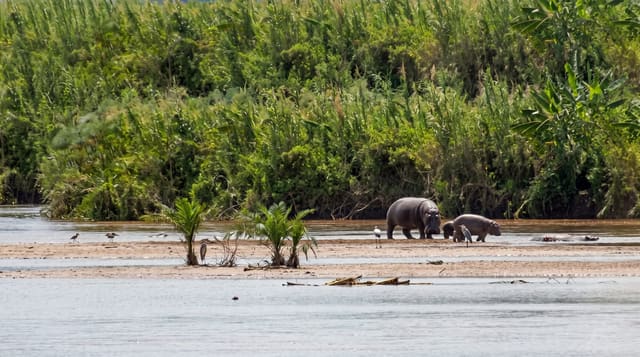 Rusizi National Park