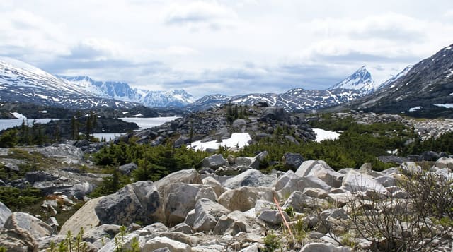 Alaska Highway
