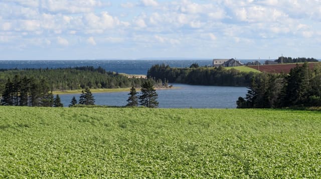 Basin Head
