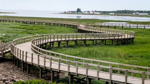 Bouctouche Dune