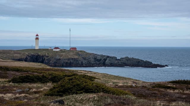Cape Race