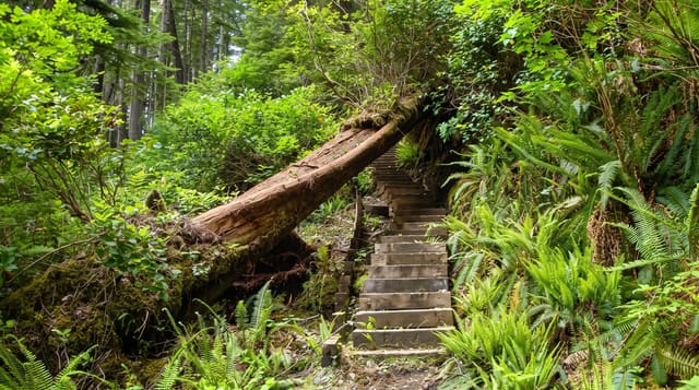 Cape Scott Provincial Park