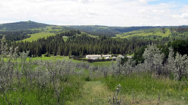 Fort Walsh
