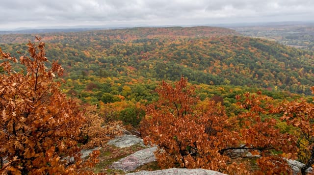 Gatineau Park