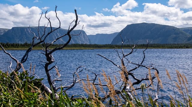Gros Morne National Park