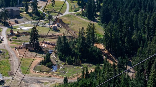 Grouse Mountain