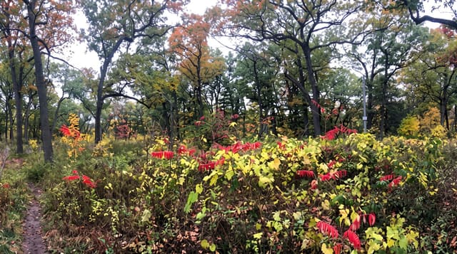 High Park