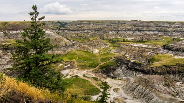 Horseshoe Canyon