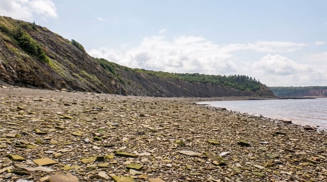 Joggins Fossil Cliffs