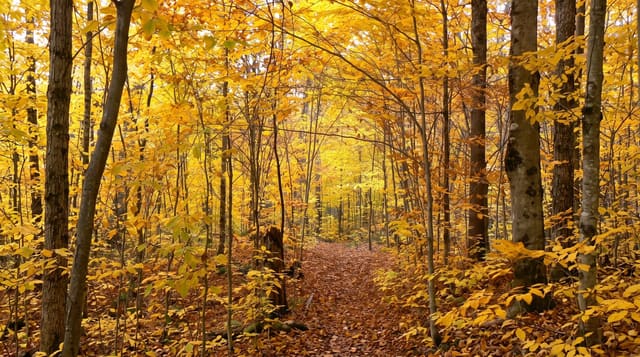 La Mauricie National Park